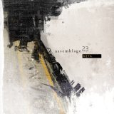Assemblage 23 - Truth